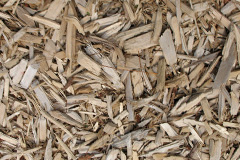 biomass boilers Clutton